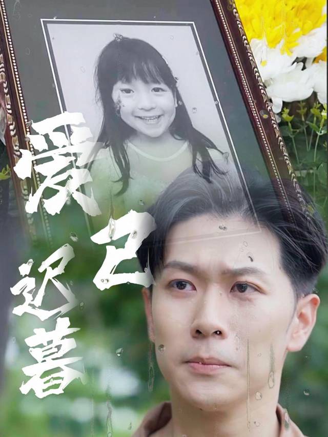 爱已迟暮封面