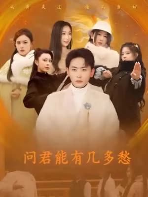 问君能有几多愁封面