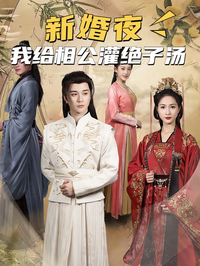 新婚夜我给相公灌绝子汤封面