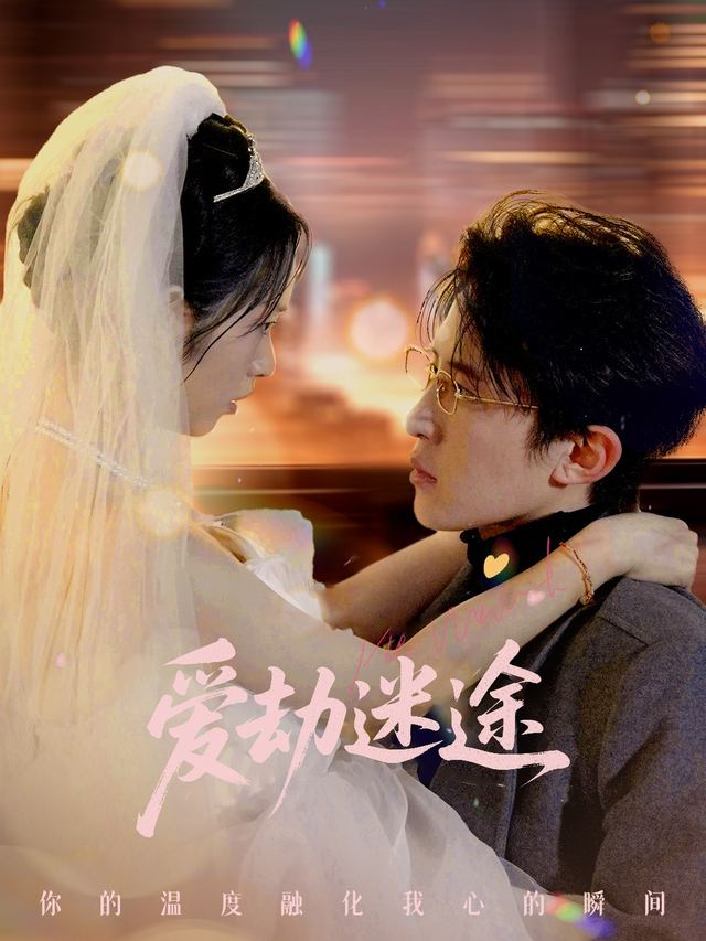 爱劫迷途封面