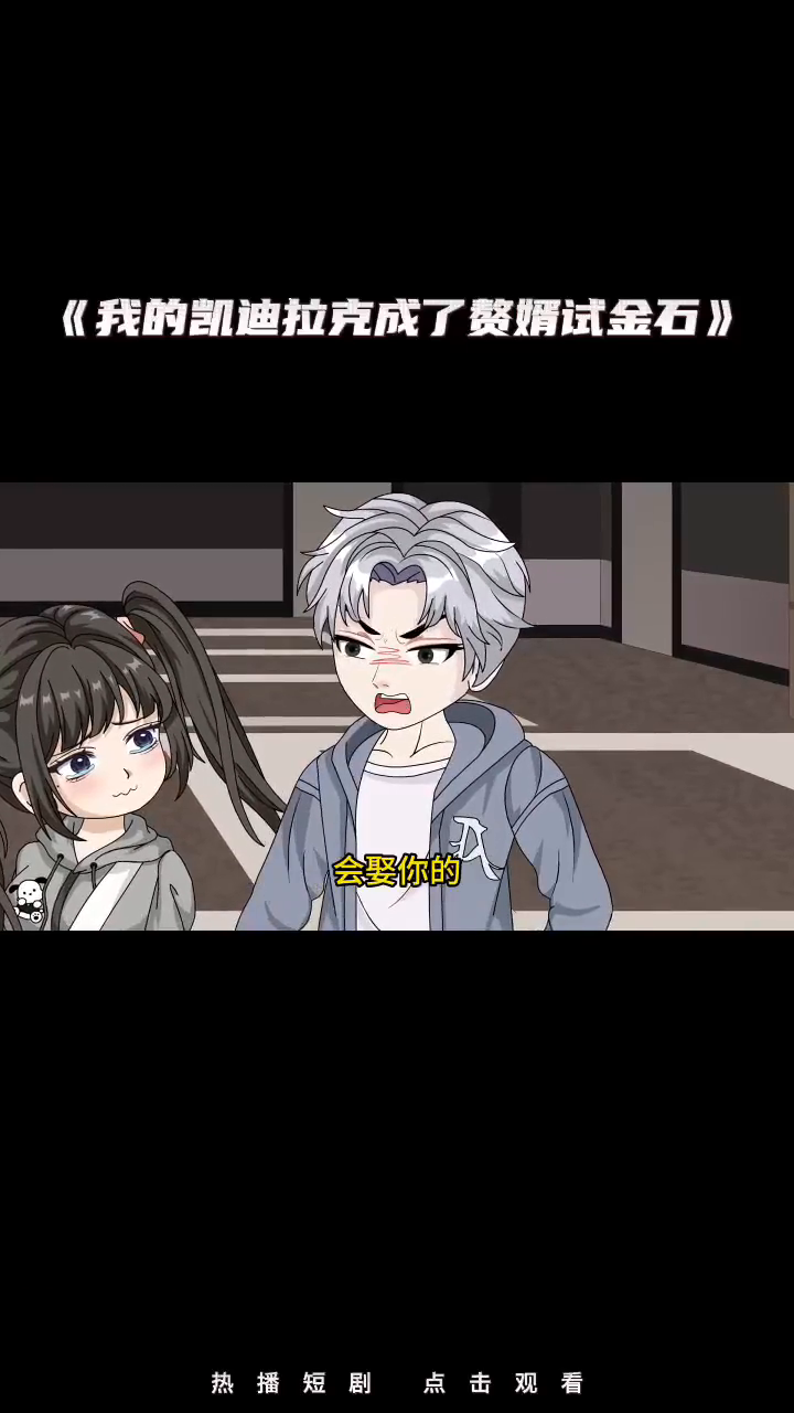 我的凯迪拉克成了赘婿试金石封面