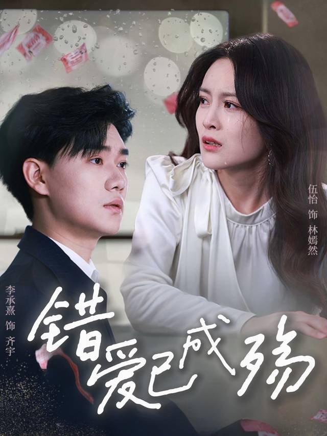 错爱已成殇封面