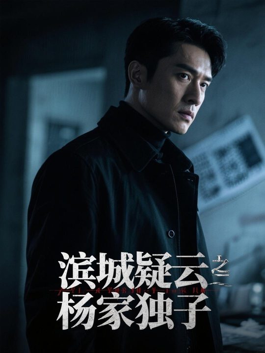 滨城疑云之杨家独子封面