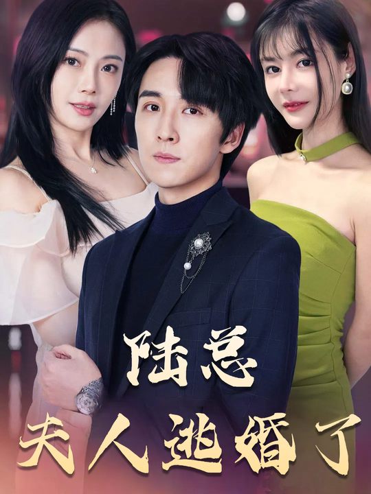 陆总夫人逃婚了封面