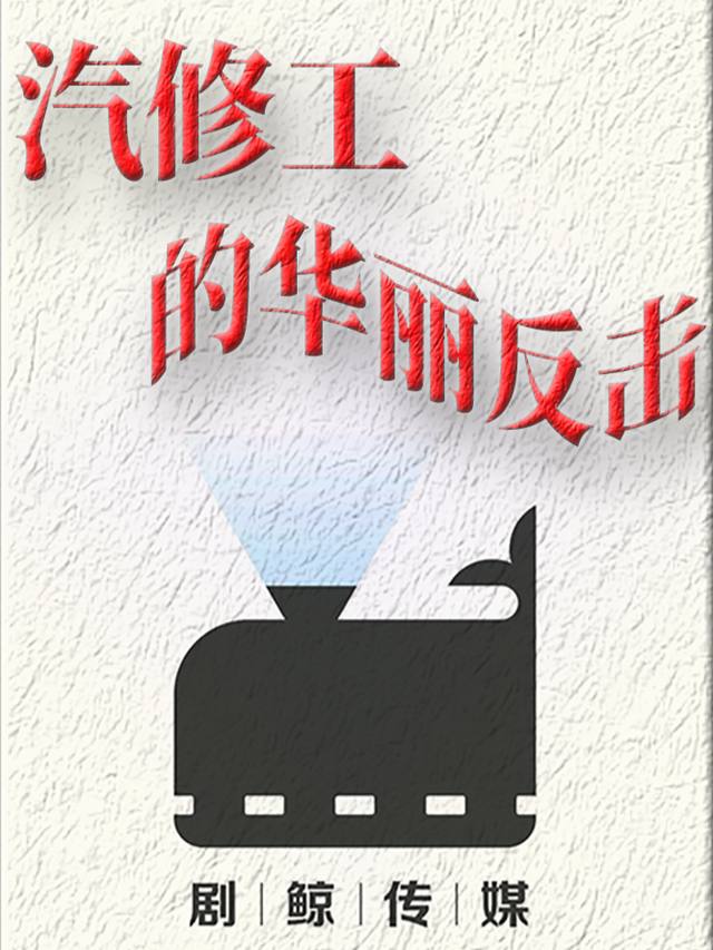 汽修工的华丽反击封面