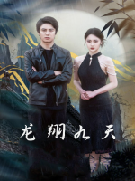 龙翔九天封面