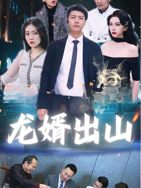 龙婿出山封面