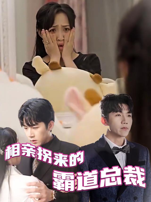 相亲拐来的霸道总裁封面