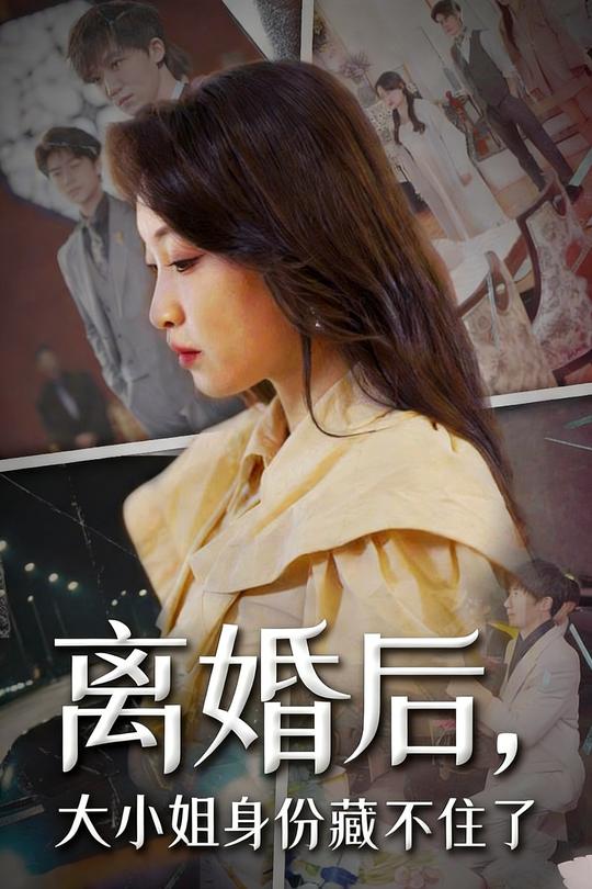 离婚后,大小姐身份藏不住了封面