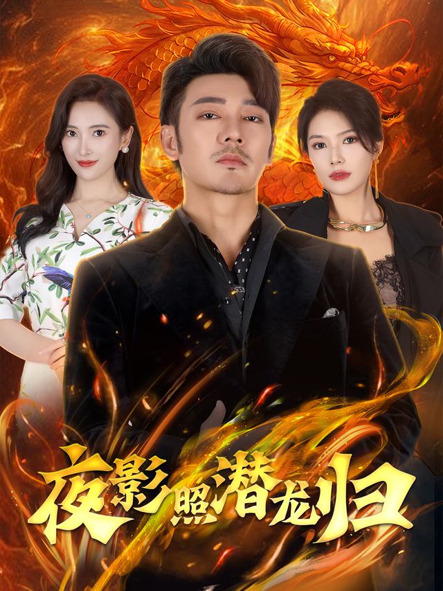 夜影照潜龙归封面