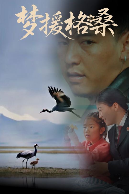 梦援格桑封面
