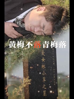 黄梅不落青梅落封面