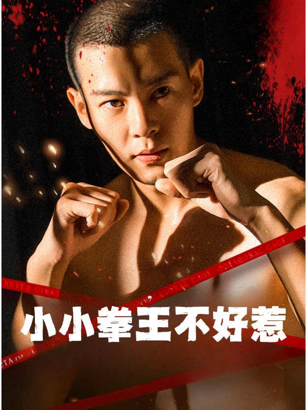 小小拳王不好惹封面