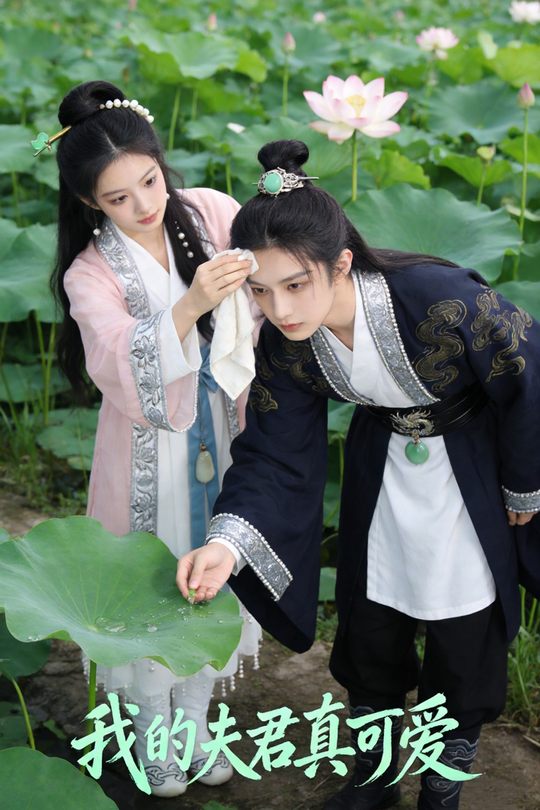 我的夫君真可爱封面