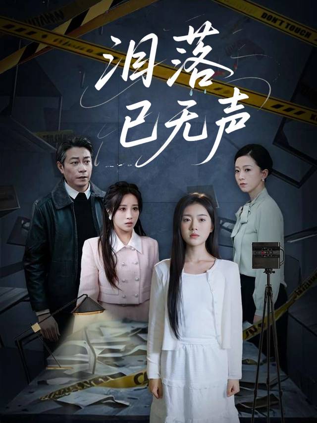 泪落已无声封面