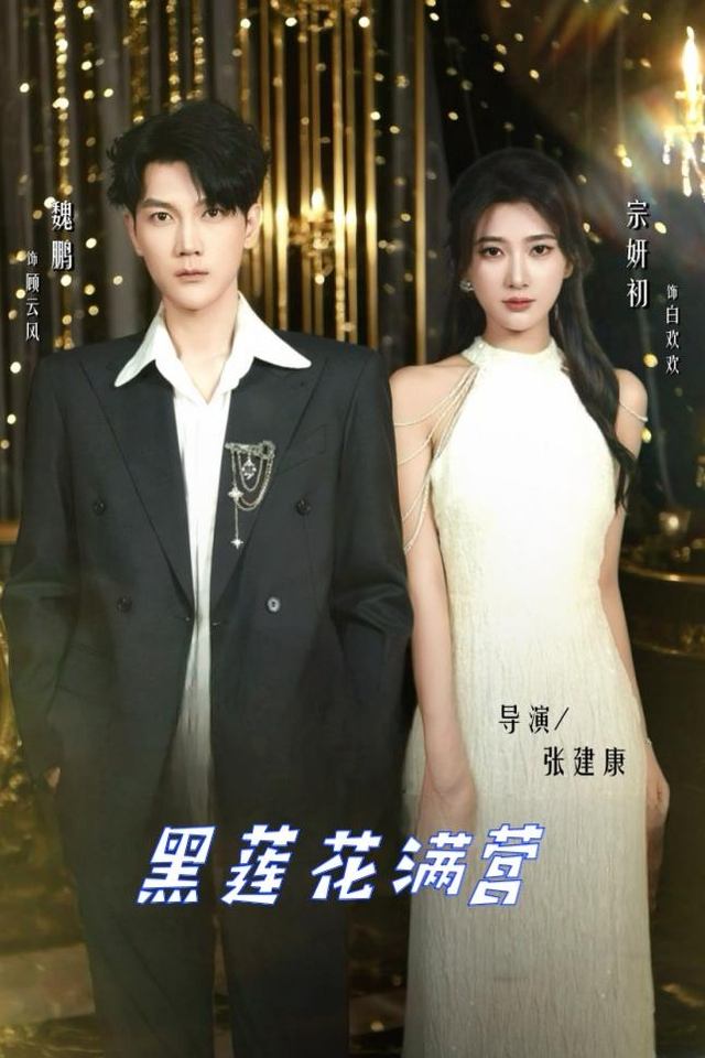 黑莲花满营封面