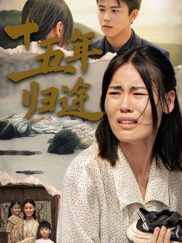 十五年归途封面