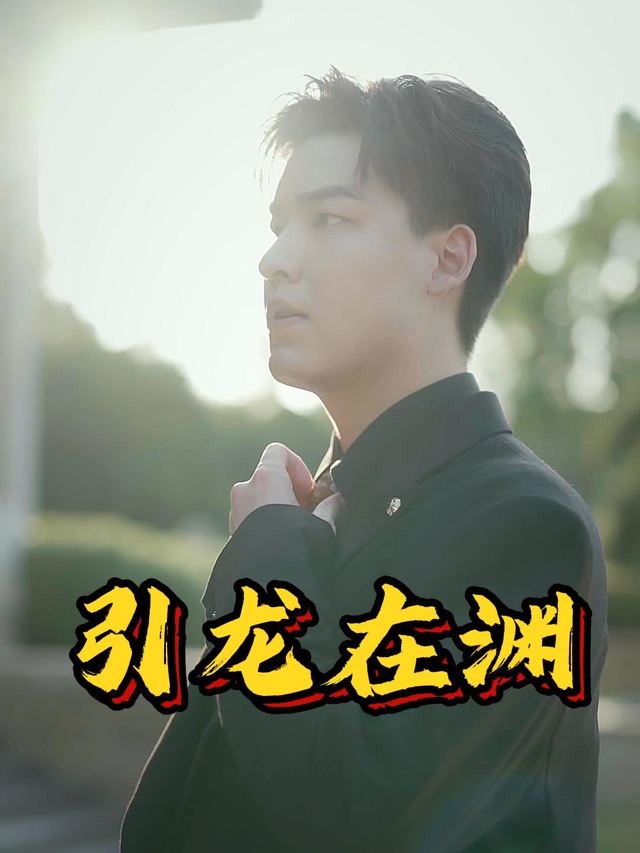 引龙在渊封面