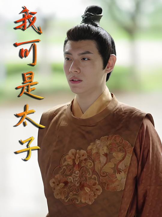 我可是太子封面