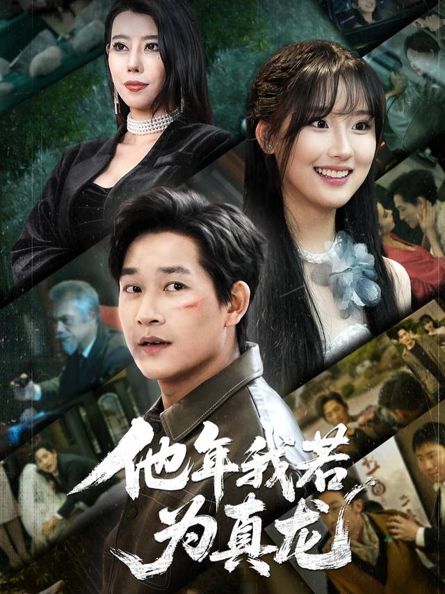 我为真龙封面
