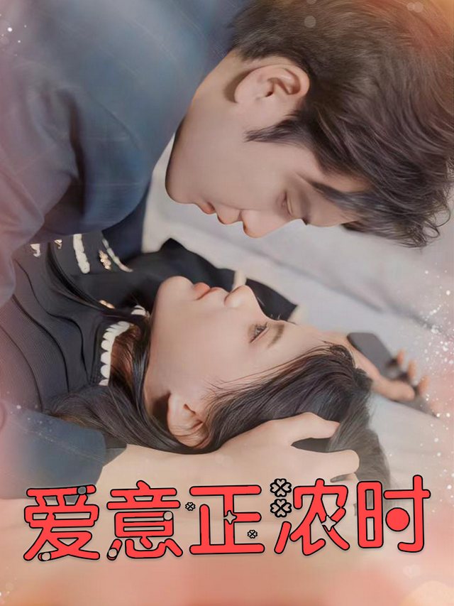 爱意正浓时封面