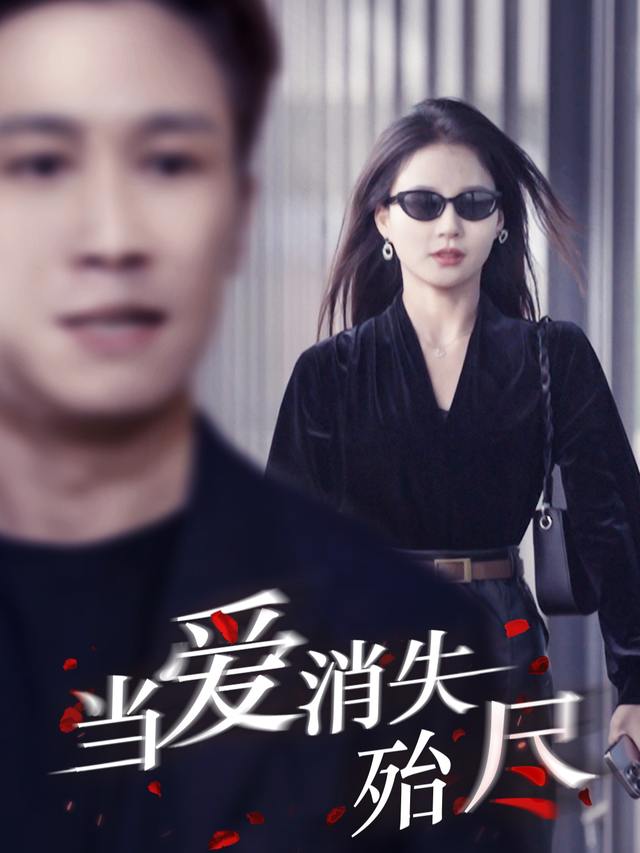 当爱消失殆尽封面