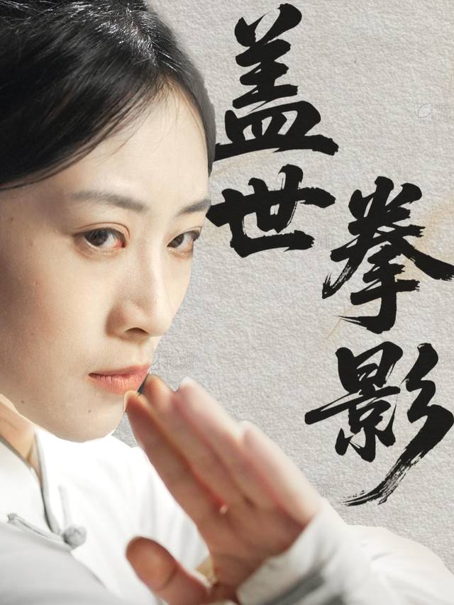 盖世拳影封面