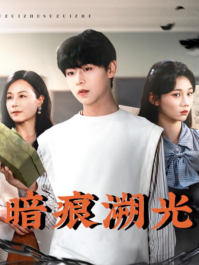 暗痕溯光封面