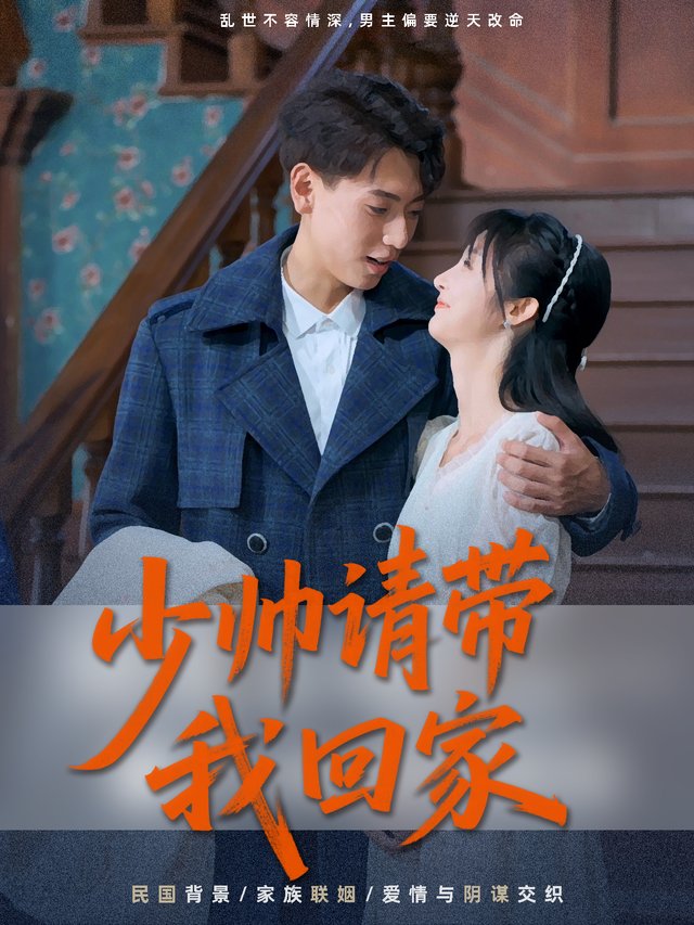 少帅请带我回家封面