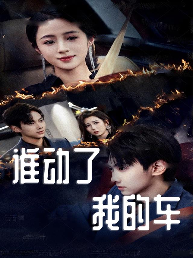 谁动了我的车封面