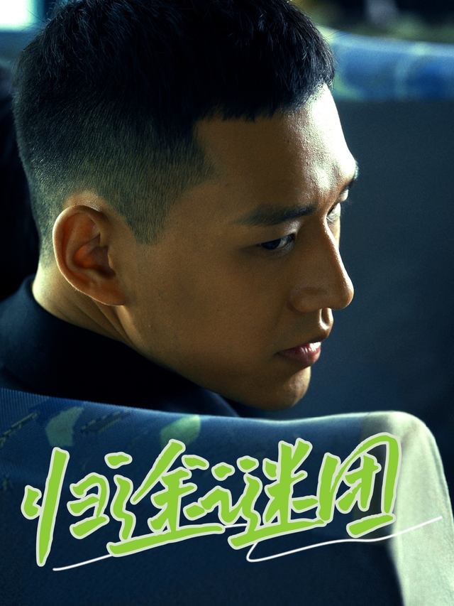 归途谜团封面