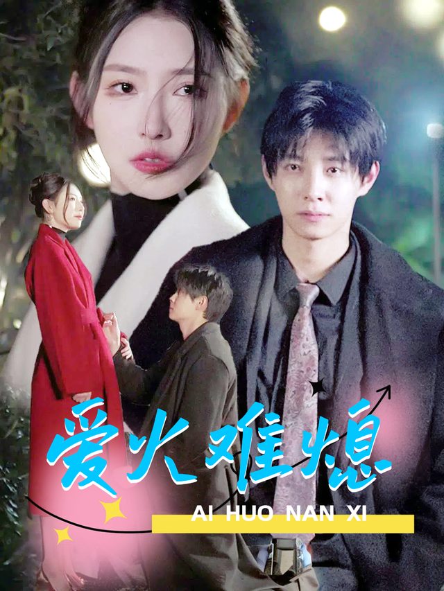 爱火难熄封面