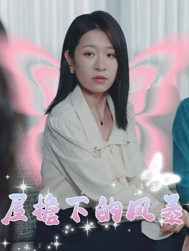 屋檐下的风暴封面