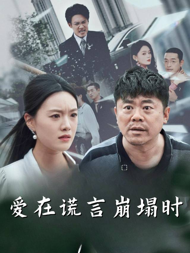 爱在谎言崩塌时封面
