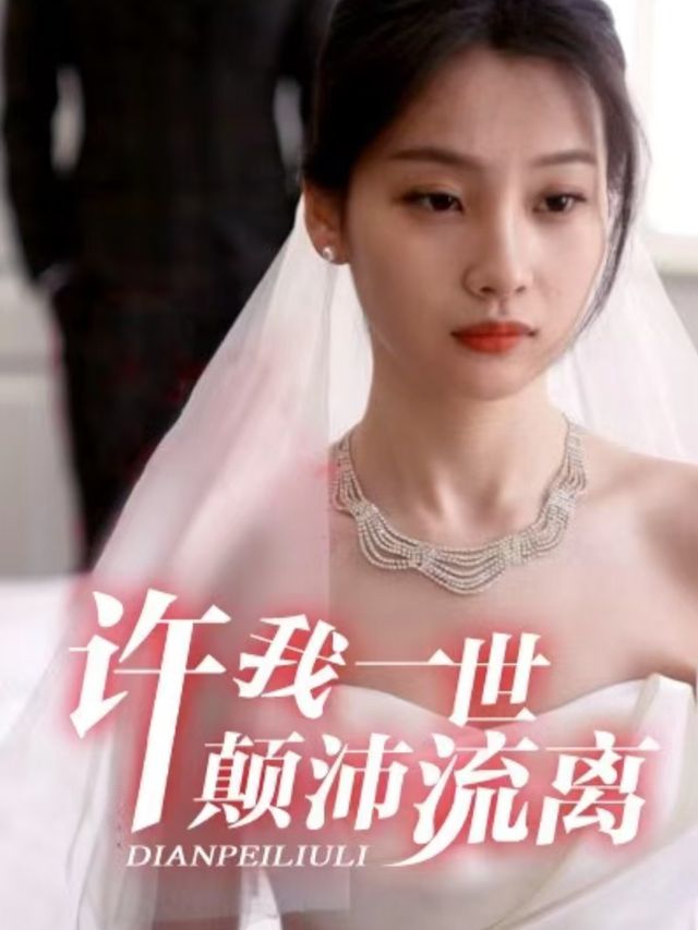 许我一世颠沛流离封面