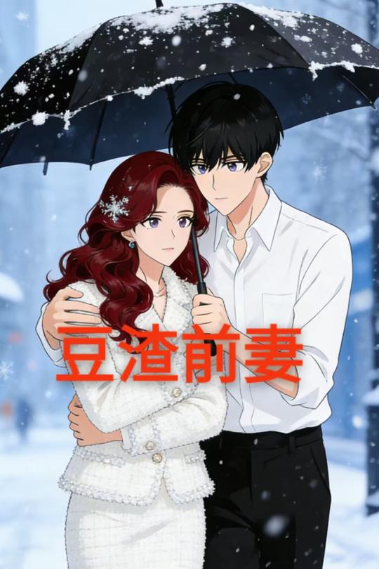 豆渣前妻封面