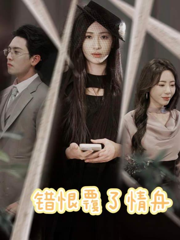 错恨覆了情舟封面