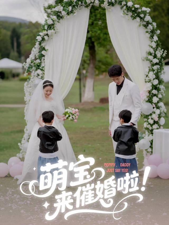 萌宝来催婚啦!封面