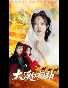 大漠红颜劫封面