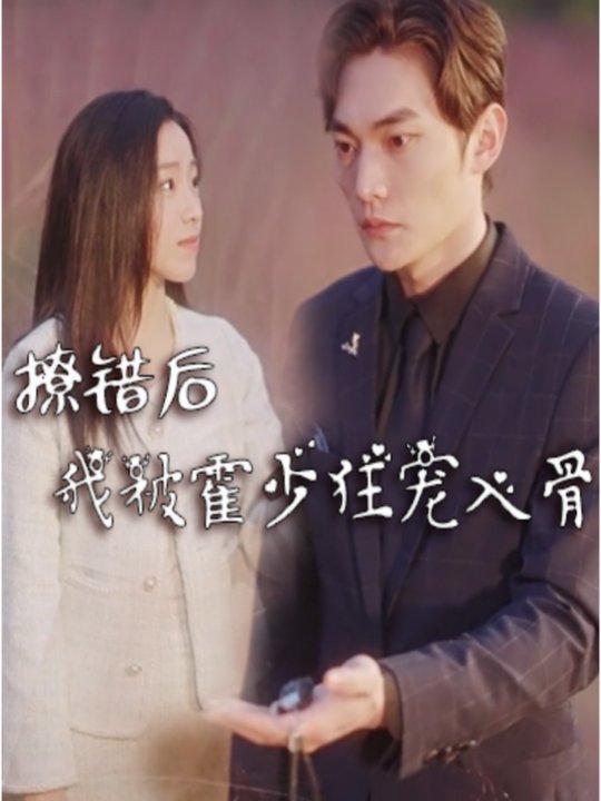 撩错后,我被霍少狂宠入骨封面