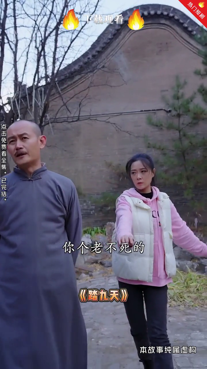 踏九天封面