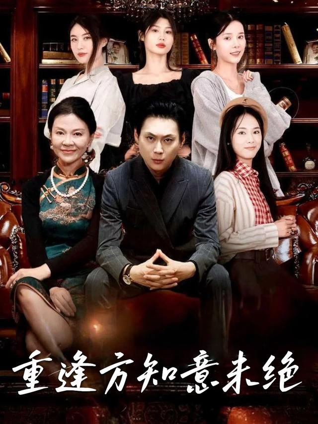 重逢方知意未绝封面
