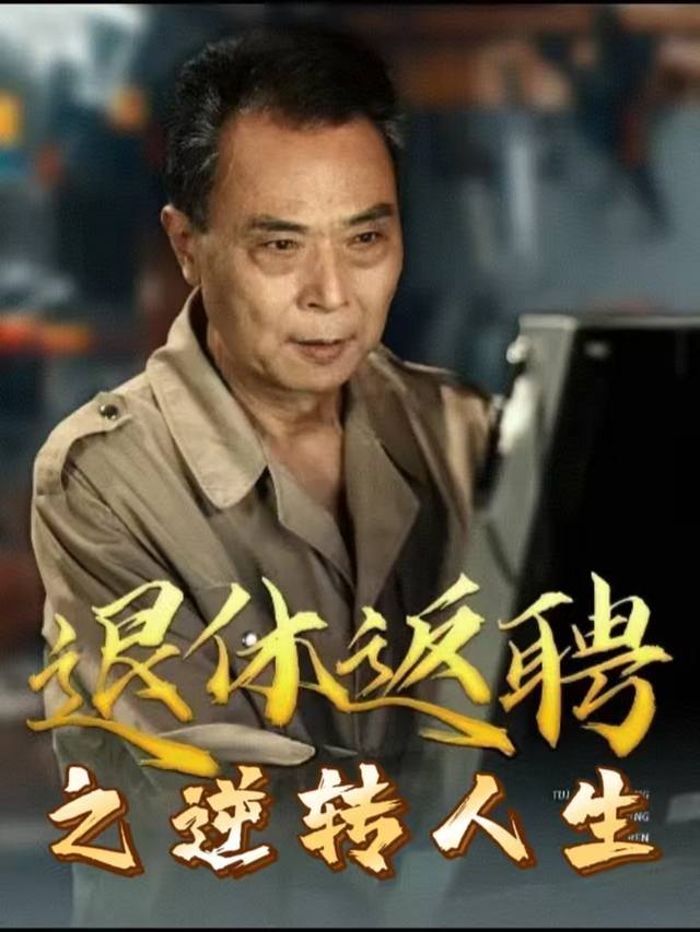 退休返聘之逆转人生封面