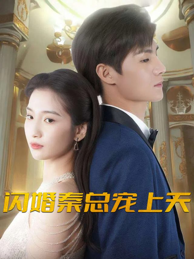 闪婚秦总宠上天封面