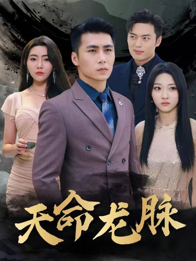 天命龙脉封面