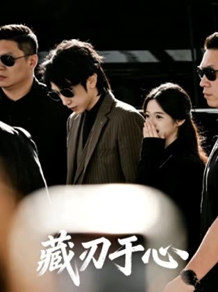 藏刃于心封面