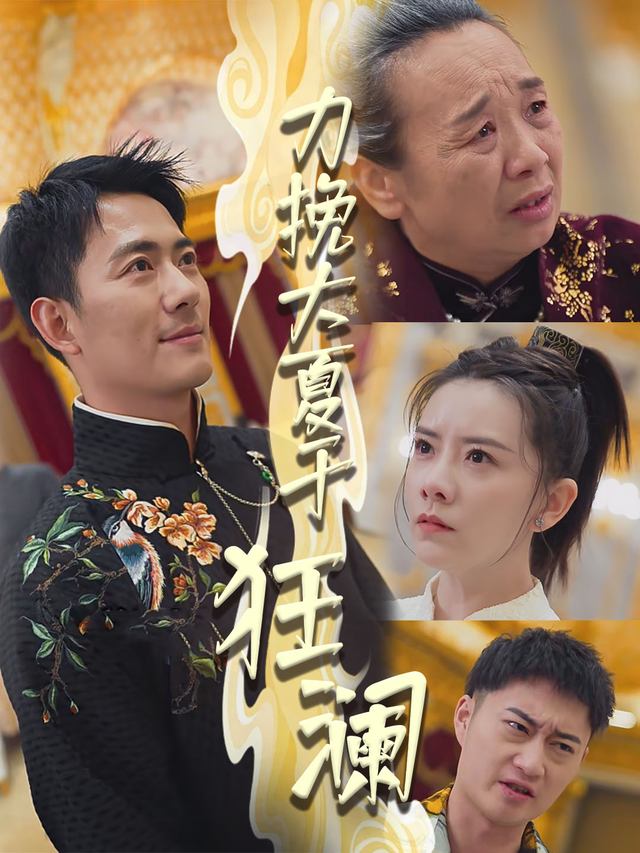 力挽大夏于狂澜封面
