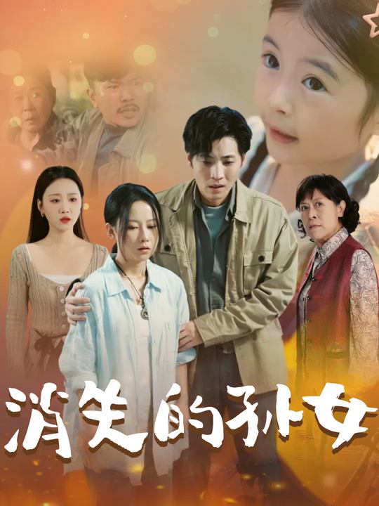 消失的孙女封面