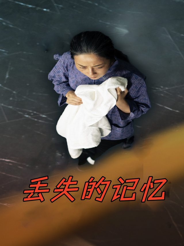 丢失的记忆封面