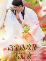 萌宝助攻帮我追妻封面